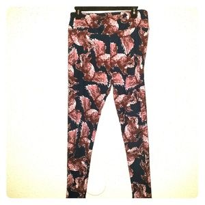 LuLaRoe Squirrel Leggings -Tall & Curvy